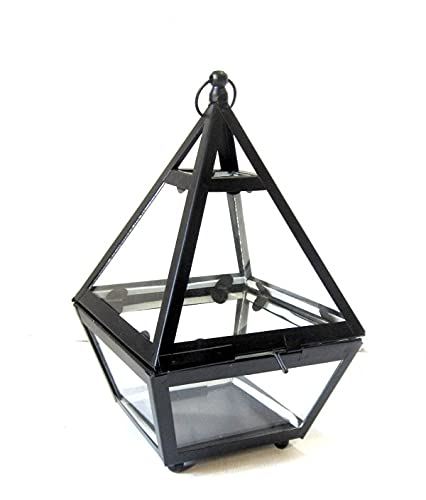 Image of Metal /Glass / Multipurpose Flower Vases for Home Decor (Black Terranium Vase)