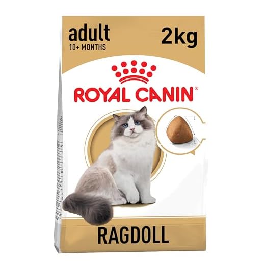 ROYAL CANIN Cibo Secco per Gatti Adulti Ragdoll - 2000 gr