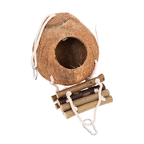 Nid de cachette de perroquet et cabane de gecko pour terrarium - 2