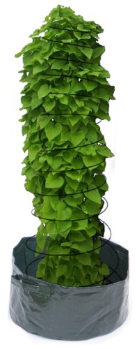 Viagrow Bean Planter & Spiral Cage