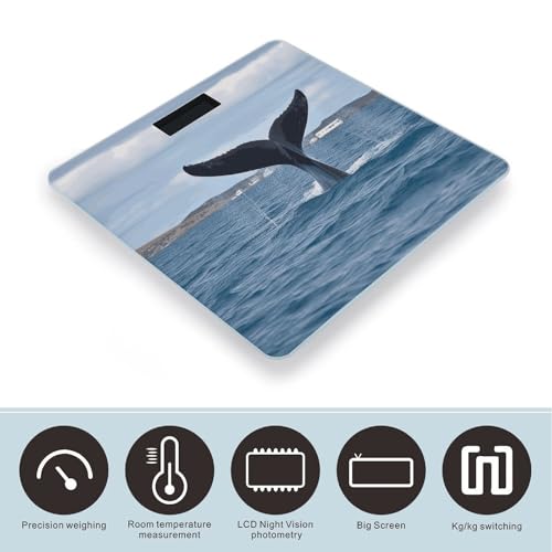Báscula digital de baño Whale Tail con pantalla LCD miniatura 3