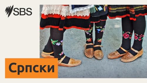 Лајање на звезде: И пси могу да показују зависничко понашање