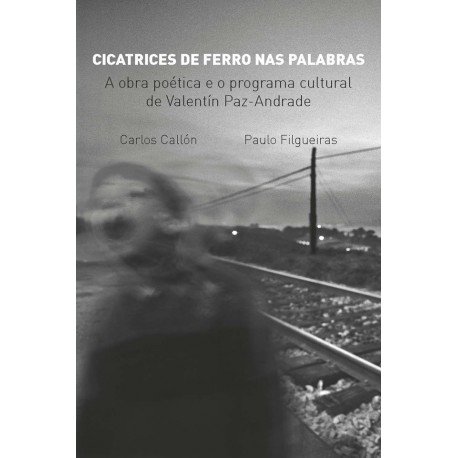 CICATRICES DE FERRO NAS PALABRAS