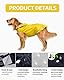 HSIXHAF Regenjacke Haustier Regenmantel mit Kapuze, Einstellbare Hunderegenmantel, Hundemantel Wasserdicht, Reflektierend Regencape, Regenjacken für Klein Hunde,Teddy, Dackel, S, Gelb