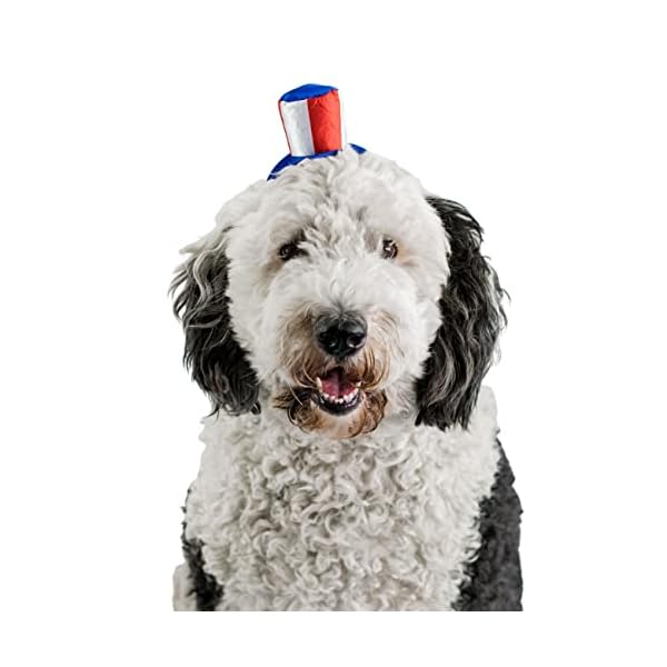 Midlee uncle sam 4th of july hat for large dogs headband- captain halloween costume