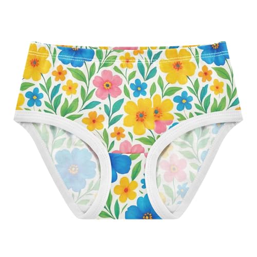Joisal Funny Toddlers Underwear Floral 2t Cotton Panties Little