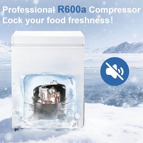 chest freezer large capacity System product image