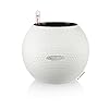 Lechuza – Pot de Fleurs d’...