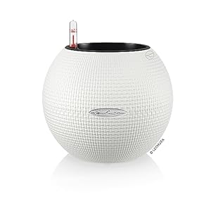 Lechuza – Pot de Fleurs d’...