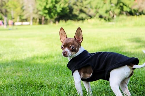 Image of JACKO & CO - Fleece Vest Dog Sweater with Leash Ring - Soft, Warm & Lightweight Pullover Coat for Small & Medium Dogs, Puppies & Cats - Cozy Fall /Winter /Spring Pet Jacket (Black, XS 2-4lbs)