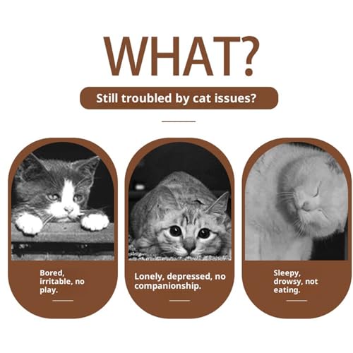 Jouet interactif en forme de canard pour chat et chien en intérieur - 5