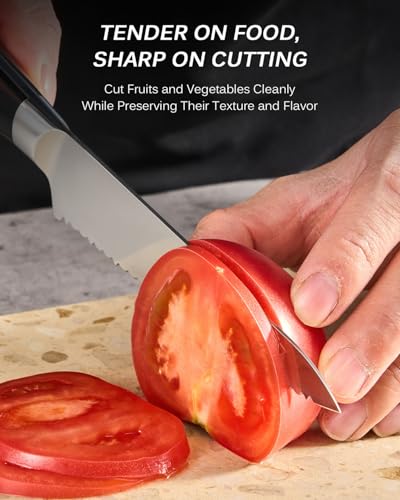 Image of KYOKU 5.5 in. Serrated Utility Knife, Samurai Series Japanese Utility Chef Knife with Pakkawood Handle, German 1.4116 Stainless Steel Full Tang Sandwich Tomato Knife with Protective Sheath & Gift Box