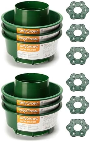 Tomato Plants In Pots For Sale - Foto 10