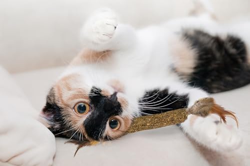 SPOT Ethical Pets Catnip Stick Cat Toy with Feathers, 12" (52061) image 5