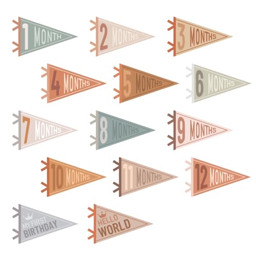 Image of VitalCozy 14 Pcs Baby Milestone Pennant Signs Monthly Milestone Banner Flags Pennant Triangle Banner Age Flag Signs for Boy Girl Newborn Birthday Party Decor(Assorted Colors)