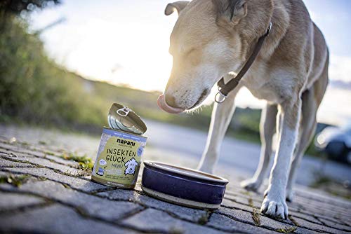 napani - Premium Hundefutter Insektenprotein, Hundenassfutter, schonend gegart, hypoallergen, getreidefrei, kohlenhydratarm, Bio-Brokkoli, Bio-Aprikosen, Bio-Kokosflocken, 6 x 800g