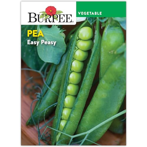 Burpee 'Easy Peasy' Pea Seeds - 21gm Non-GMO Seed Packet for Home Gardening - Direct Sow, Shelling Peas Seeds for Planting Vegetables (Pea, Easy Peasy)