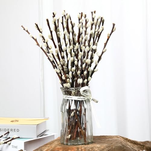 Natural Preserved Dried PussyWillow Branches for Vases, 25 Stems Real Willows, 15