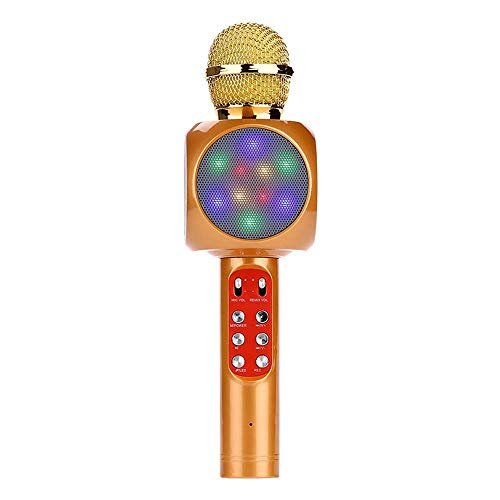 Microphone pour les enfants JIA JIA d'or contre l'ennui à la maison