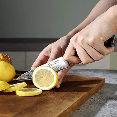 Image of PAUDIN Utility Knife, Damascus Kitchen Knives, 67-Layer Forged Blade, Ultra Sharp Petty Knife, Full Tang G10 Handle with Triple Rivets, 5'' Paring Knives for Cutting Fruit and Vegetables
