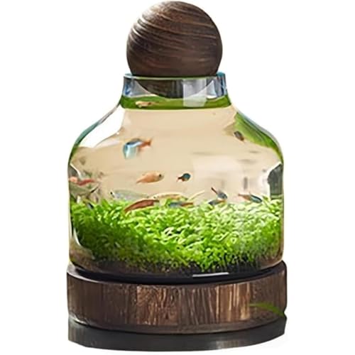  {g KX }CNhXP[v ؐgC a GR{g hXP[v k͔|(_u`[ui2lpj - ՕiȂ)