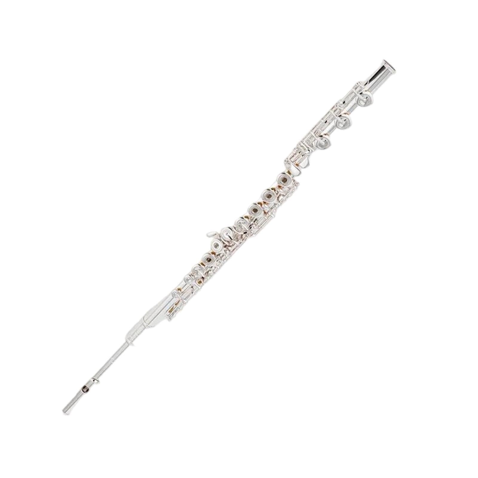 Flute Flauta C profesional