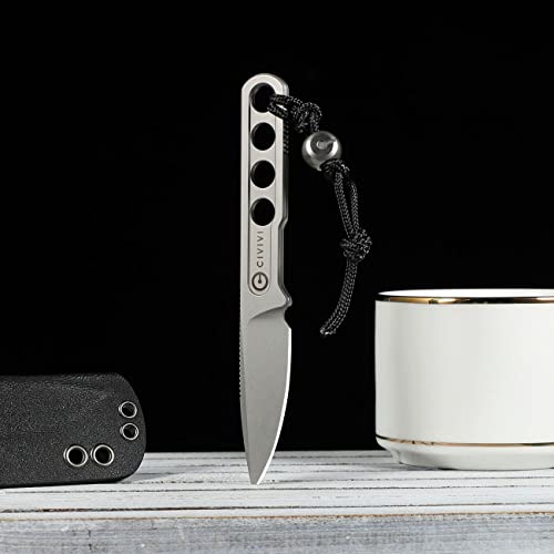 CIVIVI Circulus Fixed blade knife