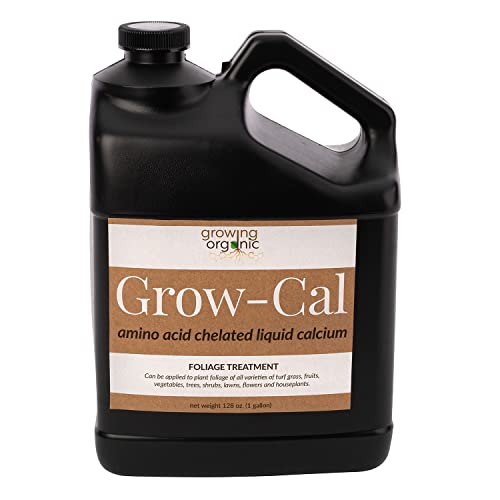The Best Liquid Calcium for Plants A Comprehensive Guide