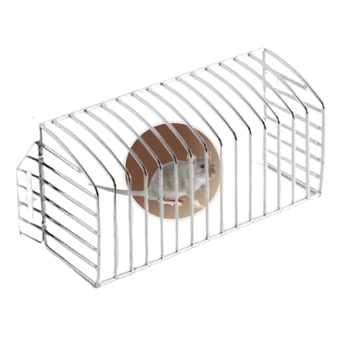Siphon latéral en acier inoxydable avec filet anti-souris pour drainage propre