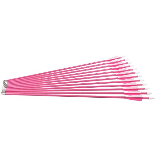 image for SHENG-RUI Archery Youth 24 26 Inch Fiberglass Archery Targeting Arrows