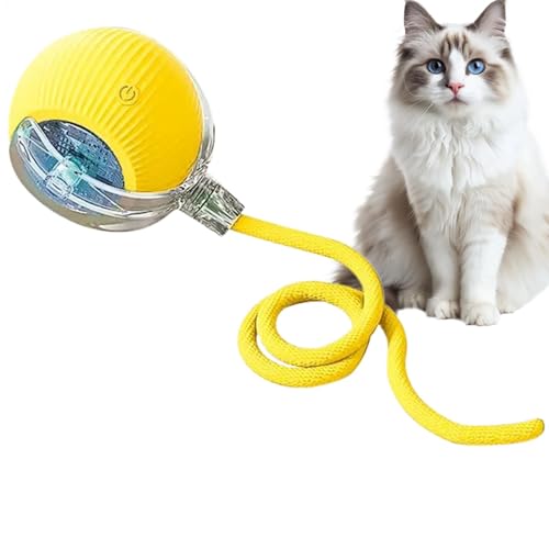 自動猫ボール、インタラクティブ猫おもちゃボール | 屋内転がり猫ボールおもちゃ,屋内サウンドローリング猫ボールおもちゃ、スマートローリング子猫インタラクティブボール