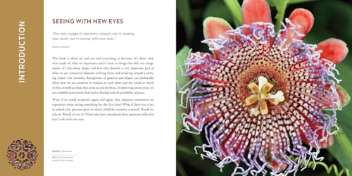 The Mandala Book: Patterns of the Universe - Image 3