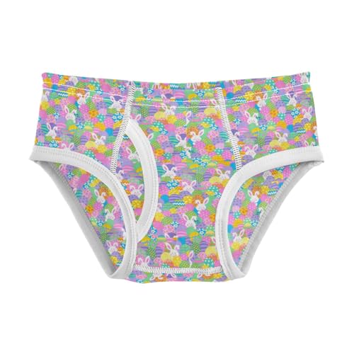 Boys' Exclusive Briefs Toddler Underwear 95% Combed Cotton Boxerbriefs 2T Colorful Bunny and Flower Pattern 23