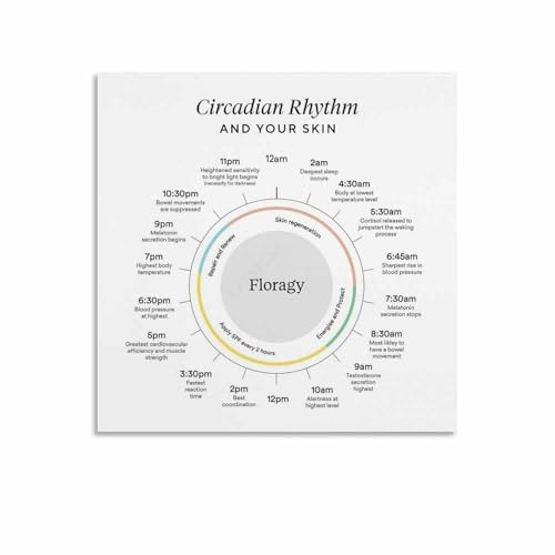Circadian Rhythm Biological Clock Chart Poster Sleep Guide (4) Canvas