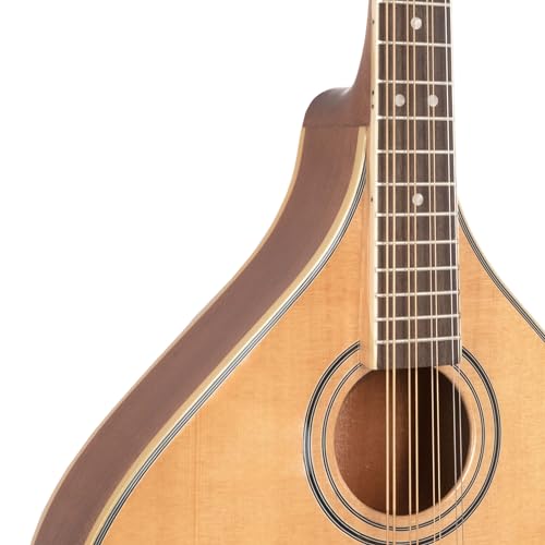 Gold Tone OM-800+ Octave Mandolin (Mahogany) - Image 3