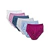 Fruit of the Loom Women's Underwear Nylon Brief Panties, Assorted, 2X-Large (9)