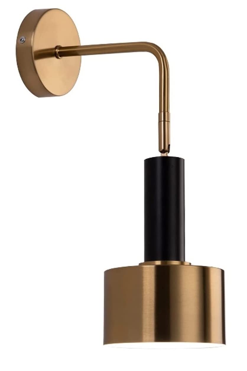 One Light Battery Operated Wall Sconce with Remote,Non Hardwired Wall Light Fixtures for Indoor,No Wire Sconces Wall Lighting Gold Brass Finish Wall Decor Swing Arm Lamp for Bedroom Bathroom Loft