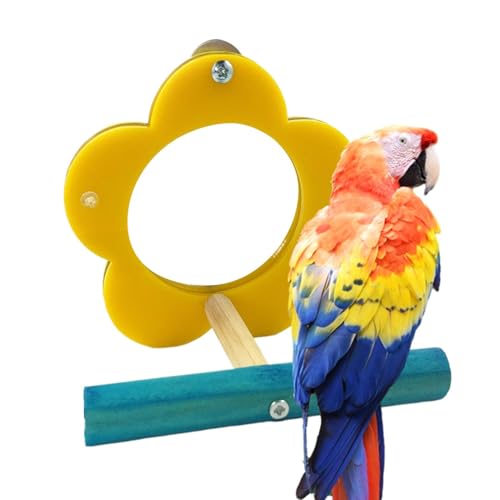 Espejo de periquito para jaula – Espejo interactivo para pájaros, juguetes para loros, juguetes de periquitos en de flor para masticar, suministros para mascotas para cacatúa, tortolito, pinza