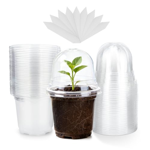 KINGLAKE 10CM Pot pour Semis, 12 Pieces Pot de Fleurs en Plastique, Godet de Culture Rempotage, avec Couvercle Transparent et 10X étiquettes de Plantes, Godet...