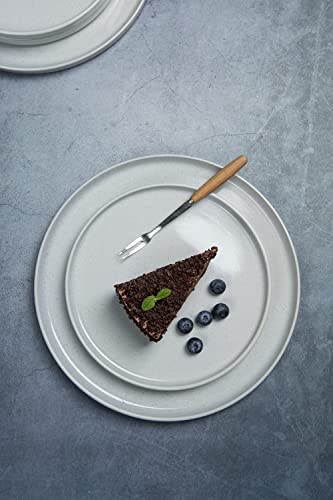 Famiware Nebula 4 Pieces Salad Plates Set, 8" Dessert Plates, Scratch Resistant, Stoneware Dinnerware, Kitchen Modern Rustic Serving Dishes, Multi-Color #TOP4
