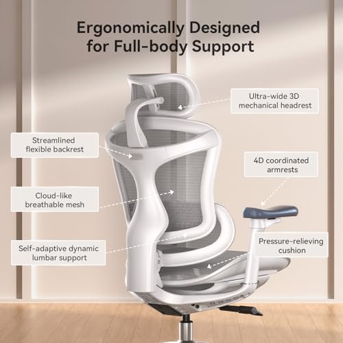 sihoo chair
