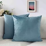 Cyuripu Pack of 2 Velvet Light Blue Throw Pillow Covers 20 x 20 Inch Decorative Square Pillowcases S