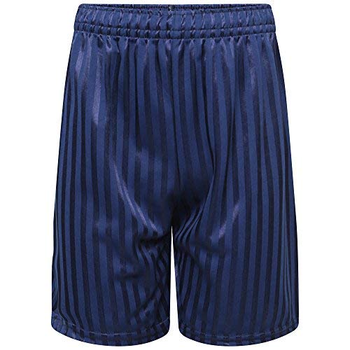 blue stripe pe shorts