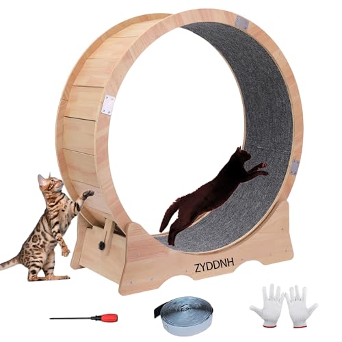 Cat Exercise Running Wheel Cat Treadmill Wheels for Indoor Cats Large (Natural, Large)