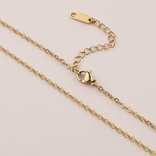 Moluonaqi Pressed Flower Necklace For Women, Forget Me Not Teardrop Floral Pendant Necklace With Gold Plated Chain As Bridesmaid Proposal Or Birthday Gift For Women #TOP4