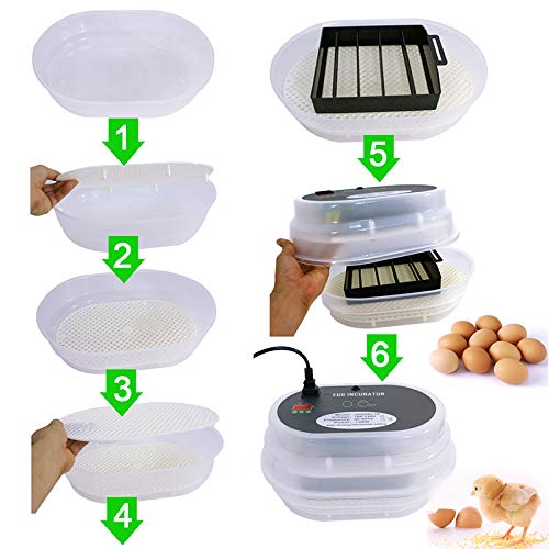 Smartxchoices Digital Mini Egg Incubator 9-12 Eggs with Fully Automatic Turning Humidity Control Poultry Hatcher for Chickens Ducks Goose Birds