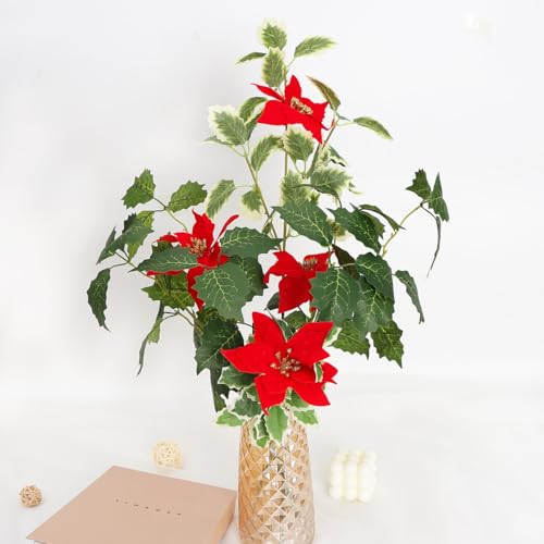 siawadeky NX}X |CZ`A  3 3{Zbg { lHϗtA tFCNO[ b炸 sv NX}X VNj ItBX z[ p[eB[  X  Be ԕrȂ