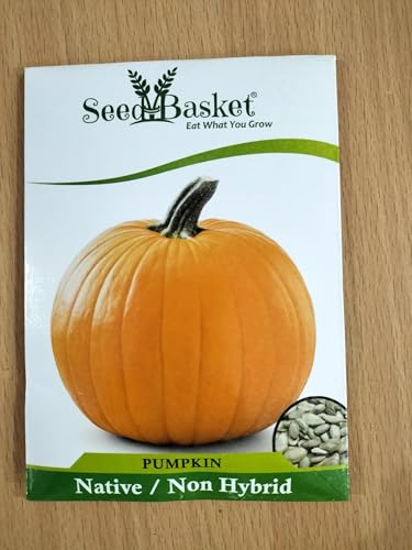 Image of Seed Basket Desi /Native /Non-GMO Pumpkin Seeds for Home and Kitchen and Vegetable Gardening | 25 Seeds | Best in Germination | Free Growing Instruction Manual (Pack Of 3)