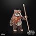 STAR WARS The Black Series Wicket, Return of The Jedi 40th Anniversary 6-Inch Collectible Action Figures, Ages 4 and Up