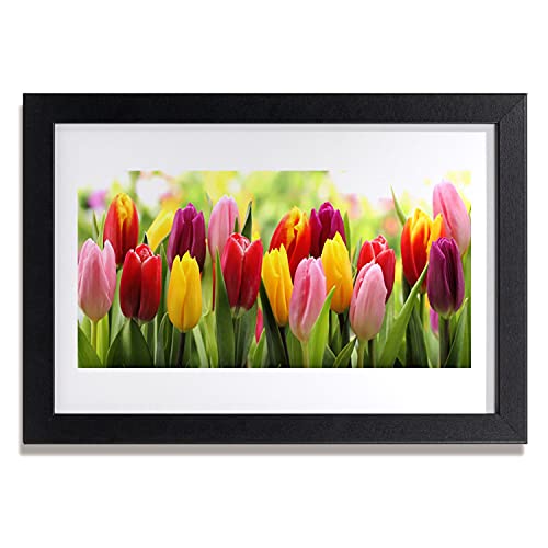 Affiche encadrée tulipes finition soignée cadre MDF Tulup 30x20